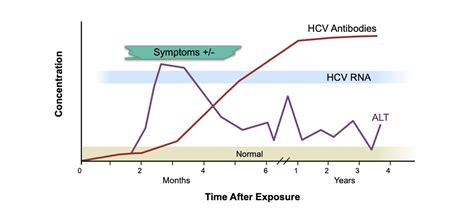 Core Concepts Diagnosis Of Acute Hcv Infection Screening And