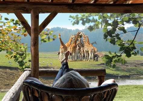 safari resort beekse bergen  hilvarenbeek bungalowspecials