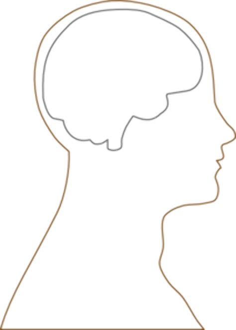 high quality head clipart outline transparent png images art