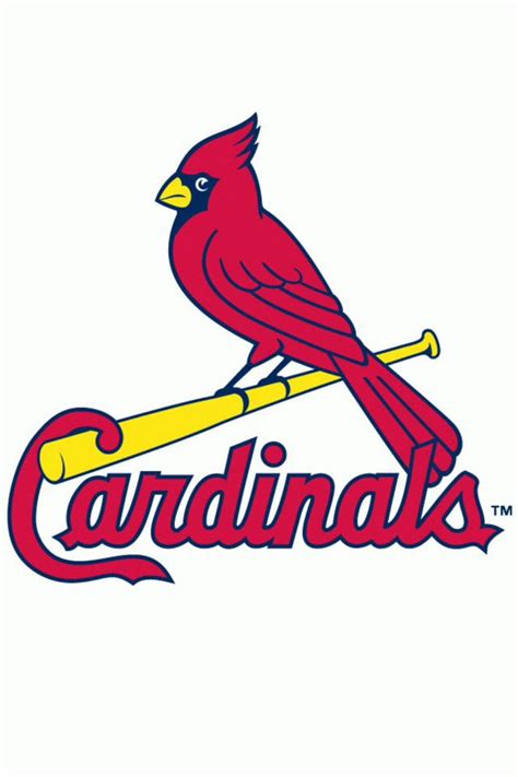 baseball stl cardinals baseball mlb baseball major league baseball