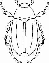 Escarabajo Escarabajos Colorat Stag Planse Gandaci Insectos Desene Proyecto Designlooter Animales sketch template