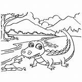Crocodile Coloring Pages Drawing Baby Vector Illustration Stock Dreamstime Nile Getdrawings Preview sketch template