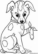 Hunde Ausmalen Ausdrucken Dekoking Malvorlagen sketch template
