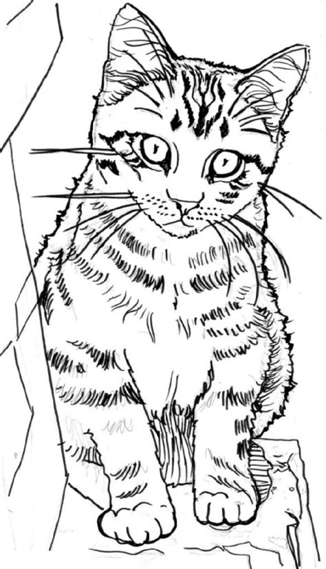 kitten coloring pages realistic  coloring