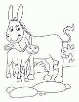 Donkey Esel Donkeys Foal Ausmalbild Letzte sketch template