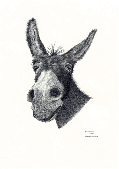 donkey head portrait limited edition art drawing print etsy uk