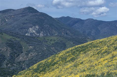 sierra madre mountains photograph  soli deo gloria wilderness  wildlife photography
