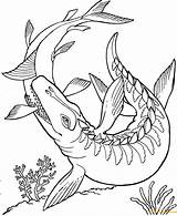 Mosasaurus Dinosaur Coloring Pages Color sketch template