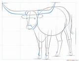 Longhorn Draw Step Drawing sketch template