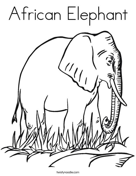 african elephant coloring page twisty noodle