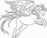 Pegasus Unicorn Coloringhome sketch template