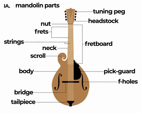 uit wat voor onderdelen bestaat een mandoline insideaudio