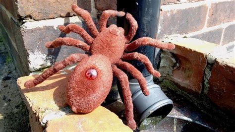 Giant Toy Spiders Climbing Up The Spout Incy Wincy Itsy Bitsy