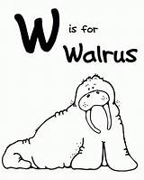 Walrus Coloring Pages Popular sketch template