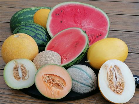 soorten meloenen inclusief tips recepten lekker tafelen