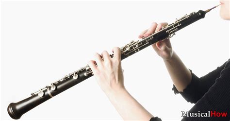 types  oboes musicalhow