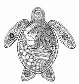 Coloring Turtles Schildkröte Hawaiian Zentangel Zentangle Dover Zeichnungen Aboriginal sketch template