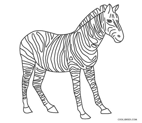 zebra coloring pages  kids