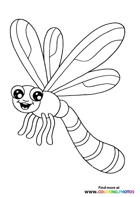 dragonflys coloring pages  kids