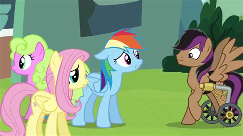 image rd and fluttershy find stellar eclipse s4e22 png