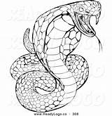 Viper Snake sketch template