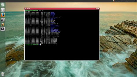 terminal emulators  linux