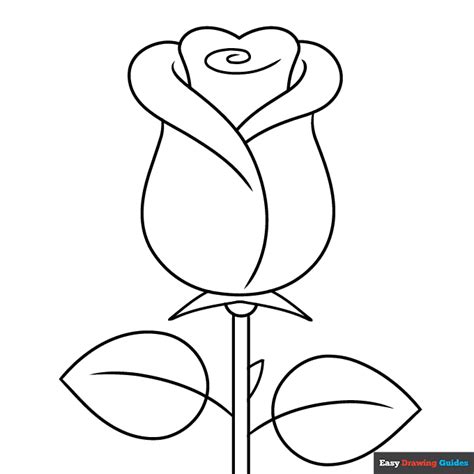 simple quick rose coloring page easy drawing guides