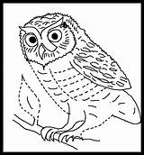 Owl Coloring Barn Pages Color sketch template