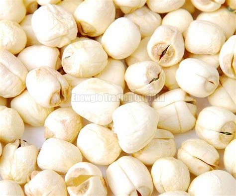 dried white lotus seed buy dried white lotus seed south africa from