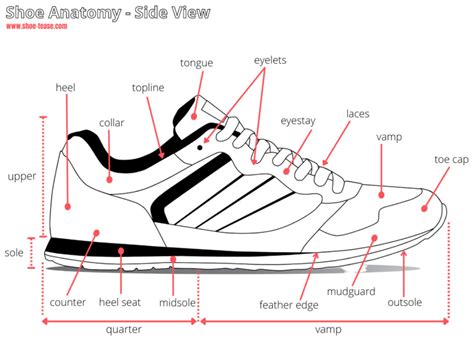 shoe anatomy guide   parts   shoe  names images