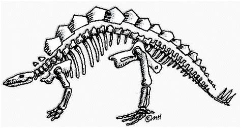 dinoskeleton dinosaur skeleton  color clip art gallery clip