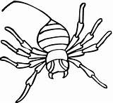 Spinne Aranhas Desenhos Colorir Ausdrucken sketch template