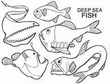 Sea Deep Coloring Pages Creatures Creature Templates Fish Animal Color Printable Kids Clipart Getcolorings Library Getdrawings Popular Kristin Hill sketch template