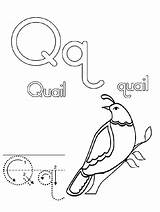 Coloring Quail Getcolorings Letter sketch template