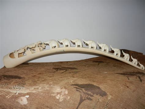 african carved tusk  ivory representing  elephant parade   cites certificat dr