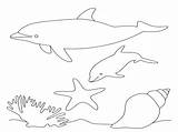 Coloring Pages Dolphins Dolphin Miami Cute Adult Color Pink Getcolorings Print sketch template