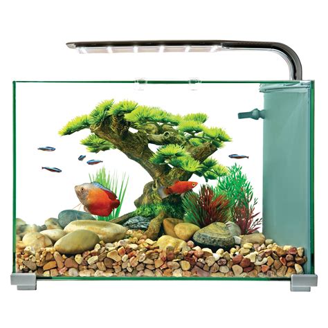 top fin essentials aquarium starter kit lupongovph