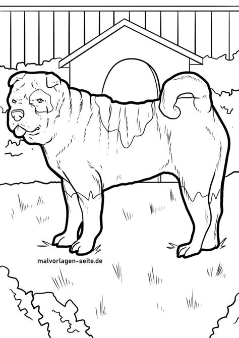 great coloring page shar pei dogs  coloring pages