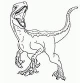 Jurassic Velociraptor Printable Dinosaurios Indoraptor Raptor Colorir Dibujar Dinosaurio Books Colouring Ausmalen Owen Dinossauro Mosasaurus Ausmalbilder Malvorlagen Rex Colorare Coloringhome sketch template
