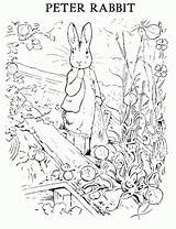 Beatrix Potter Benjamin sketch template