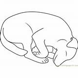 Dog Coloring Pages Sleeping sketch template