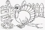 Coloring Turkey Pages Farm Printable Thanksgiving Kids Animals Filminspector Sketches Lots Different Than Fun Also These Comments Game sketch template