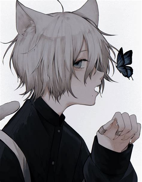 twitter anime cat boy anime neko cute anime boy
