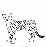 Leopardo Cazador Ultracoloringpages sketch template