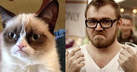 i know grumpy cat is nearing his inevitable meme backlash but this