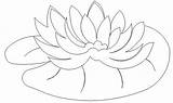 Lily Pad Coloring Water Pages Calla Pads Print Lilies Printable Size Drawings Color Getcolorings sketch template