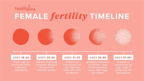 top 5 fertility facts you should have learned in sex ed