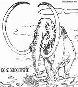 Mammoth Coloring Pages Mamoth Wooly Template Popular sketch template