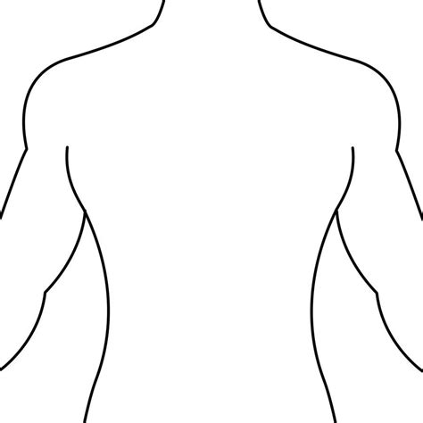 human body outline front   drawing health token clipart