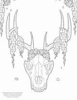 Coloring Pages Skull Animal Choose Board Badass Adult sketch template